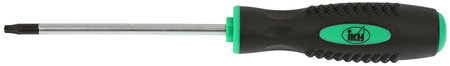 RUUVITALTTA T20X100MM