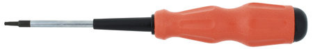RUUVITALTTA T25 100MM TORX  S